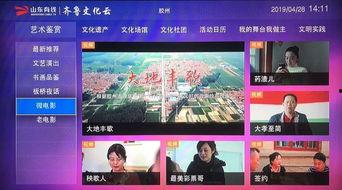 胶州最新爆料事件视频大全,视频大全揭秘真相